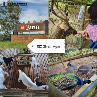 UK Farm Agro Resort Kluang Johor — 马来西亚最大绵羊与山羊农场